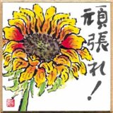 豆色紙 印刷色紙「七転八起」 5枚入 - 色紙・短冊販売 色紙屋